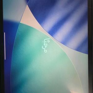 아이패드 프로 11인치 M1 셀룰러(512기가) 이미지