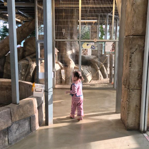 미샤 핑크 보헤미안 러플 피마 셋업 상2하3 이미지