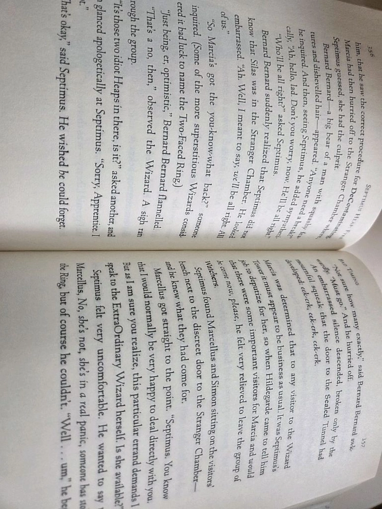 Septimus Heap시리즈 7권 이미지
