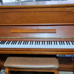 영창사일런트피아노 U-121 제니오 이미지