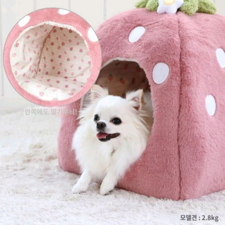 [새제품] 펫파라다이스 딸기 펫 하우스/ 소형 강아지집 이미지