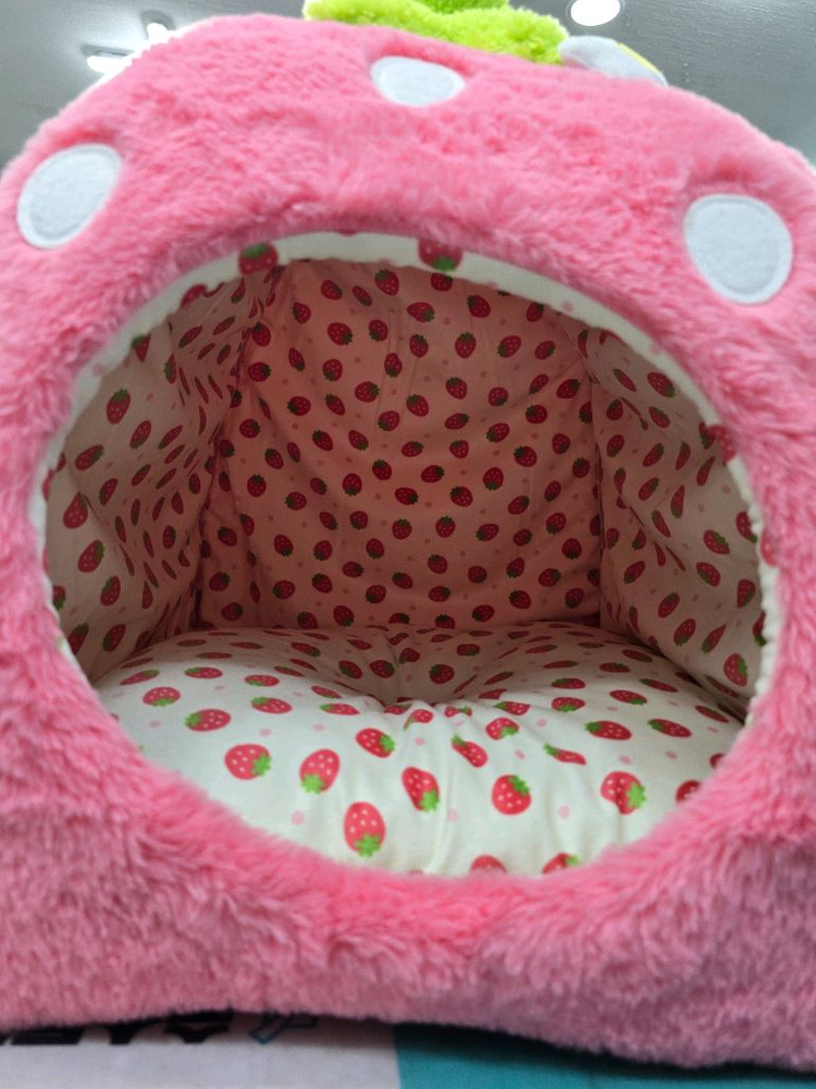 [새제품] 펫파라다이스 딸기 펫 하우스/ 소형 강아지집 이미지