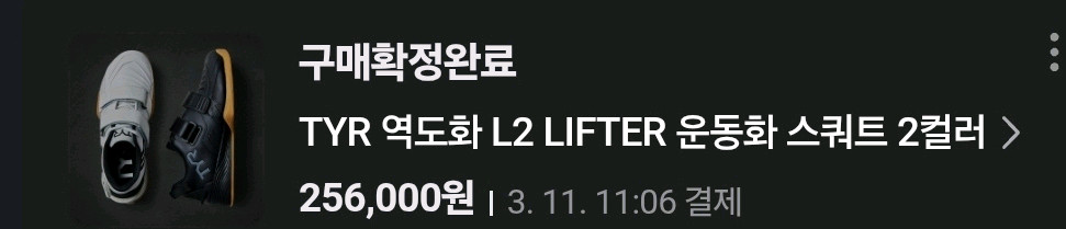 TYR L-2 역도화 275mm S급 상태 팔아요 이미지