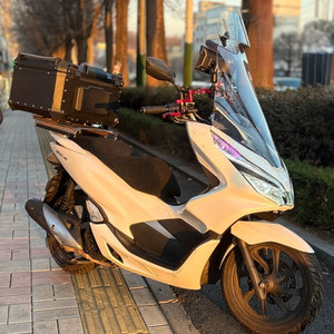 혼다pcx125 19년식 7만키로 내비게이션 21세기 딸배 이미지