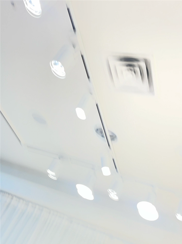 LED 조명 레일 천장조명 트랙등 이미지