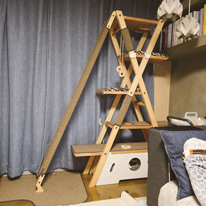 트릴로 디디 캣타워 이미지