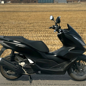 혼다PCX125/24년식/2천키로/310만원/신차급 이미지