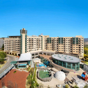 이번주 금토일 경주 벚꽃 축제 한화리조트 양도합니다 이미지