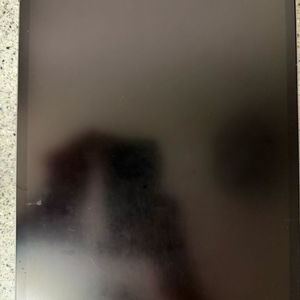 아이패드 프로 12.9 3세대 256GB Wi-Fi 스페이스 그레이 이미지