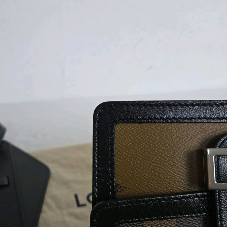 루이비통 내장칩 도핀범백 자이언트 이미지