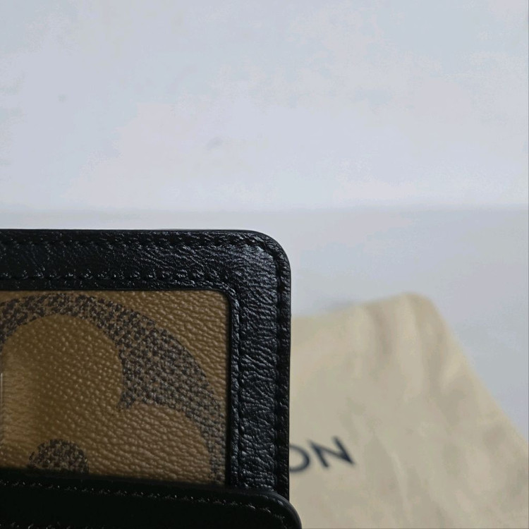 루이비통 내장칩 도핀범백 자이언트 이미지