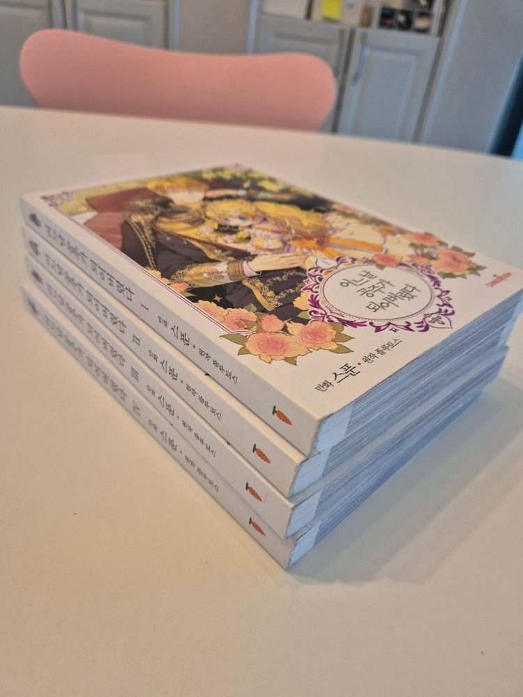 어느날 공주가 되어버렸다 만화책3권 세트일괄 이미지