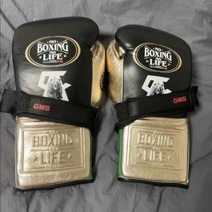 노복노라복싱글러브 (카넬로 에디션)14온스 미사용 이미지