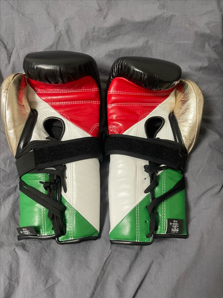 노복노라복싱글러브 (카넬로 에디션)14온스 미사용 이미지