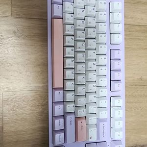 엠스톤 Groove T 87A 퍼플 체리 저소음 갈축 이미지