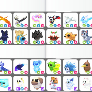 입양하세요 펫 판매해요! 이미지