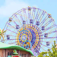 경주월드 종일권 주말가능 이미지