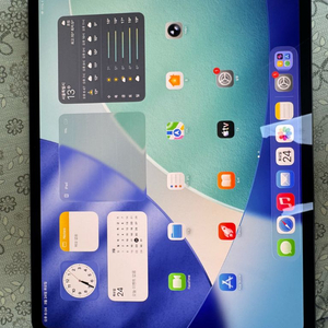 애플 아이패드프로 M5 13 1TB WIFI 이미지