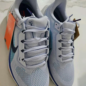 나이키 에어 줌 페가수스 41 255mm 로드 런닝화 러닝화 이미지