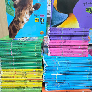 탄탄와이드자연속으로ㆍ자연속으로 완결판ㆍ틔A 이미지