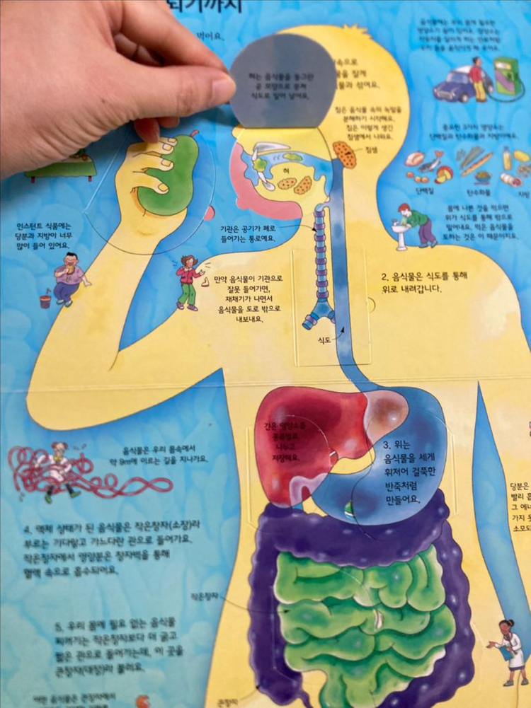 시공주니어 네버랜드 지식 탐험 그림책 8권 일괄 이미지