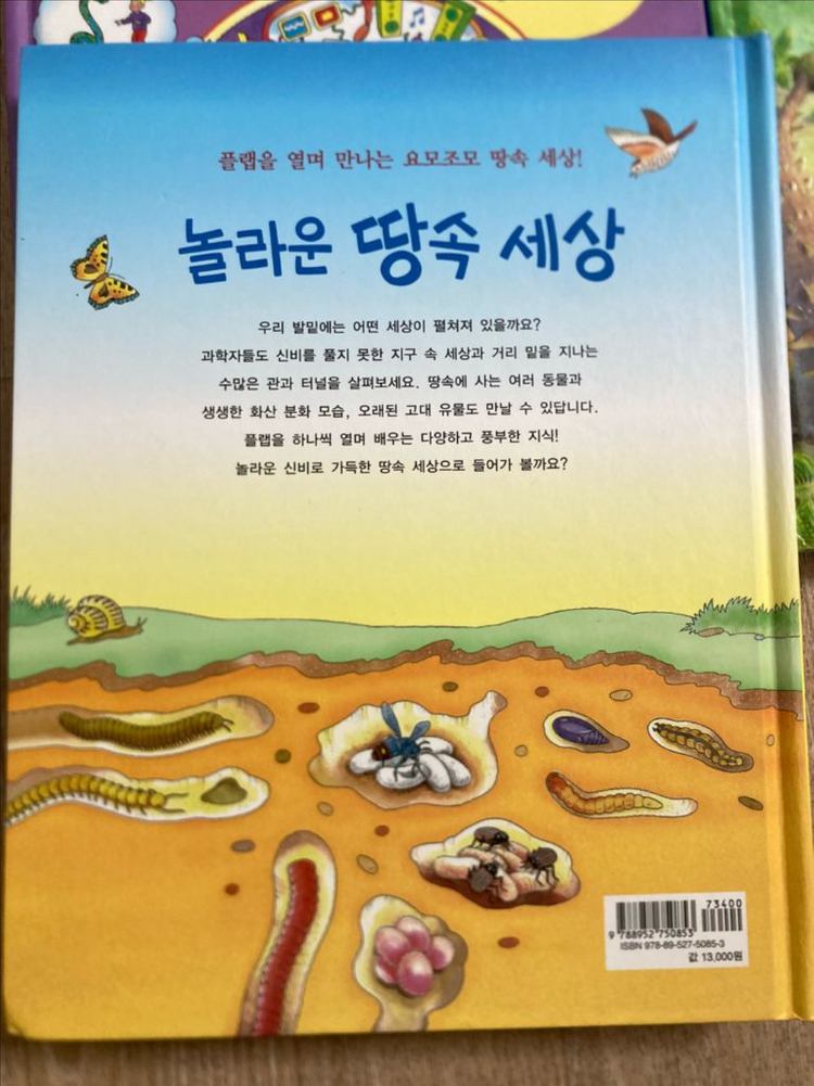 시공주니어 네버랜드 지식 탐험 그림책 8권 일괄 이미지