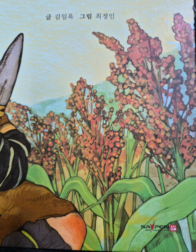 아람 아우라한국사 전52권 세이펜 택포 이미지