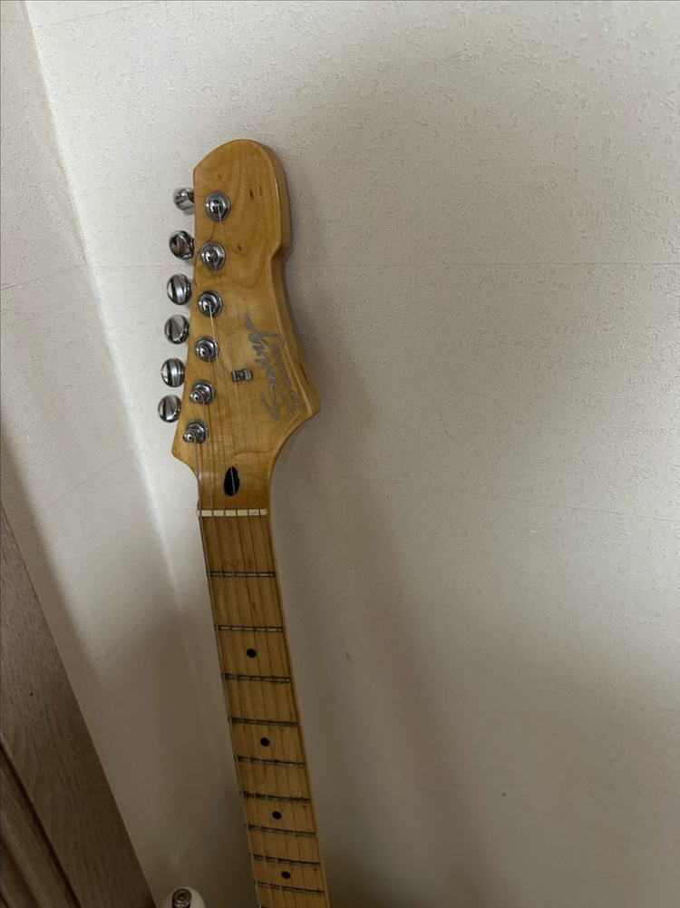 스윙일렉기타 이미지