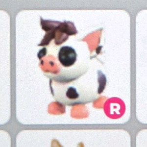 입양하세요 R 미니피그 급처 판매합니다!(쿨거시에눌) 이미지