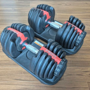 무게조절 덤벨 한쌍 이미지