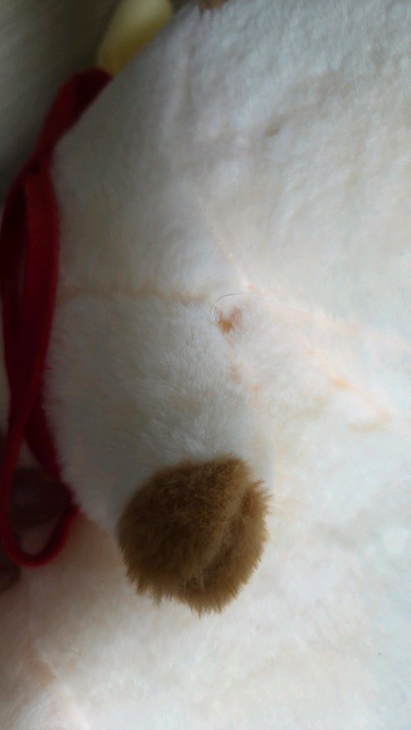 카피바라 인형 이미지