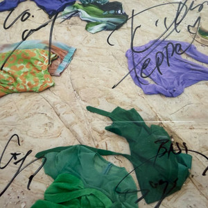 녹황색사회 싸인 앨범 이미지