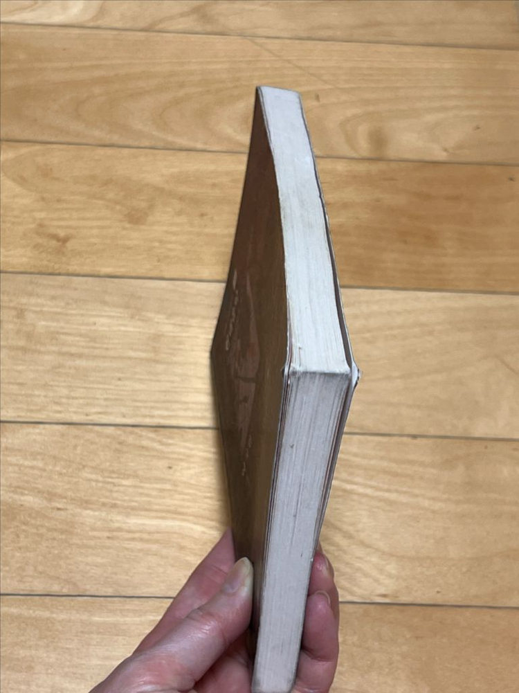 현대음악: 아방가르드에서 포스트모더니즘까지/이석원/서울대학교출판부 이미지