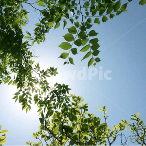 피망 뉴맞고 머니 삽니다 이미지