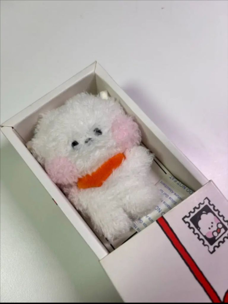 BT21 미니니 인형 알제이(RJ) 석진 인형 이미지