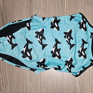 풀타임 수영복 범고래 이미지