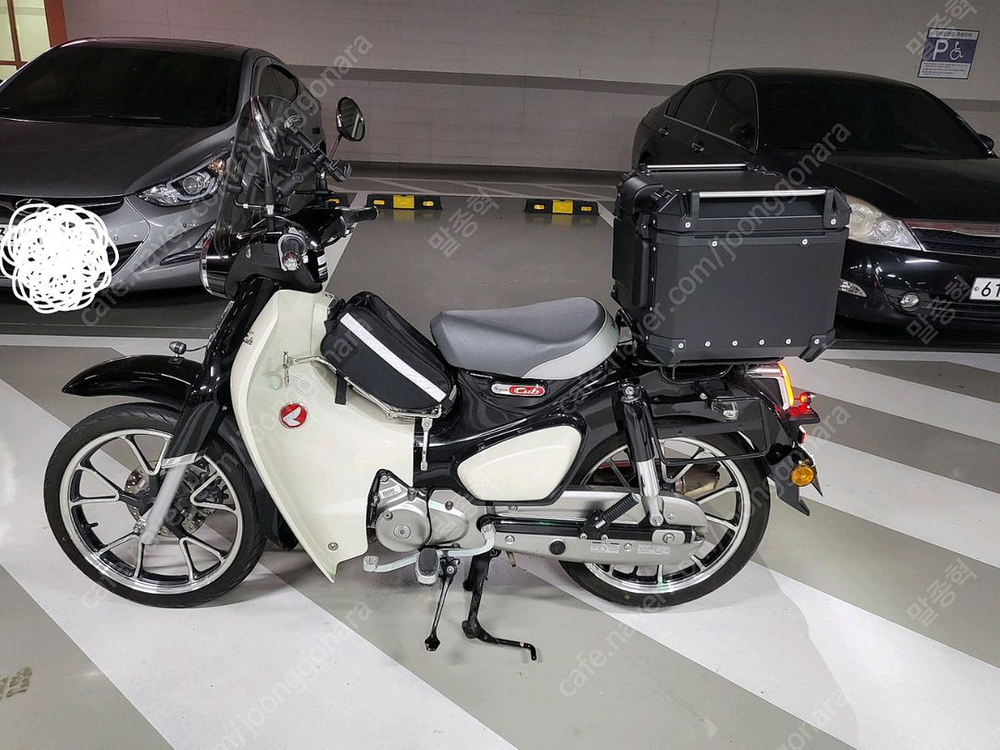 슈퍼커브 c125 이미지