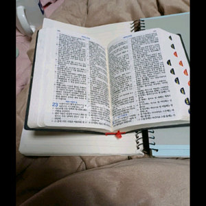 성경책팝니다 이미지