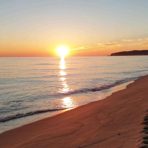 피망 뉴맞고 머니삽니다 이미지