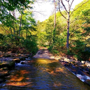 피망 뉴맞고 머니 삽니다 이미지