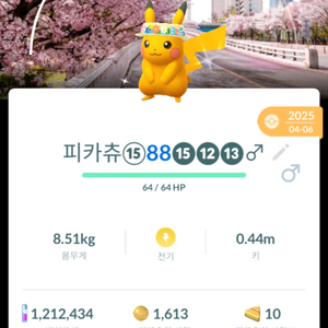 포켓몬고 코스튬 이로치 배경 피카츄 팝니다(사리, 제주도, 여의도 꽃모자) 이미지