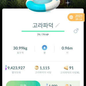 포켓몬고 코스튬 이로치 배경 튜브 고라파덕 팝니다 이미지