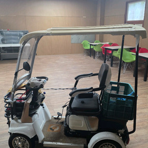 4륜 전동차 어르신 이미지