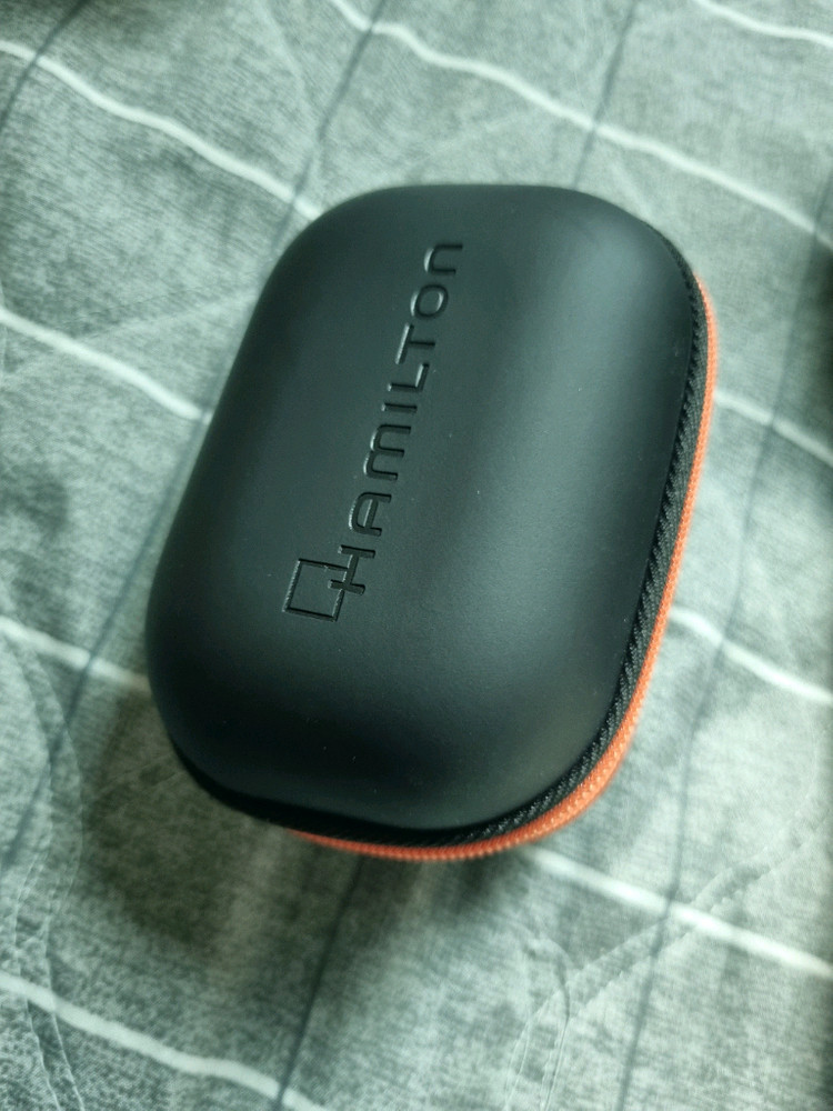 해밀턴 파우치 이미지