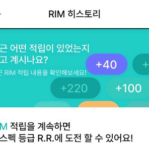 아난티 RIM 구매 이미지