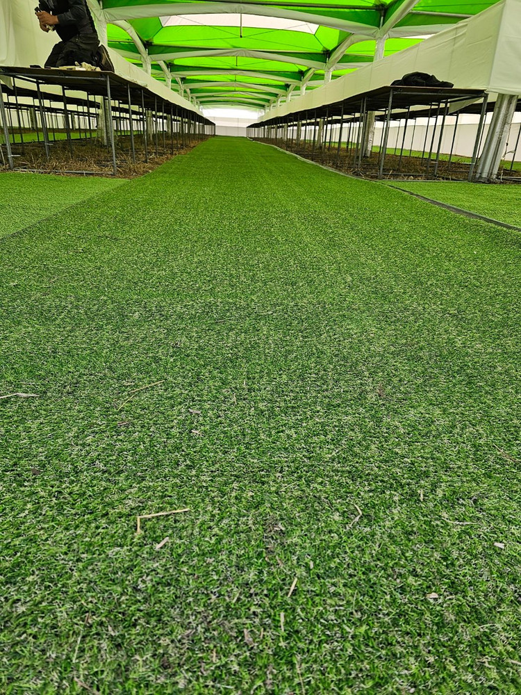 테라스인조잔디 조경용인조잔디 프리미엄 인조잔디 이미지