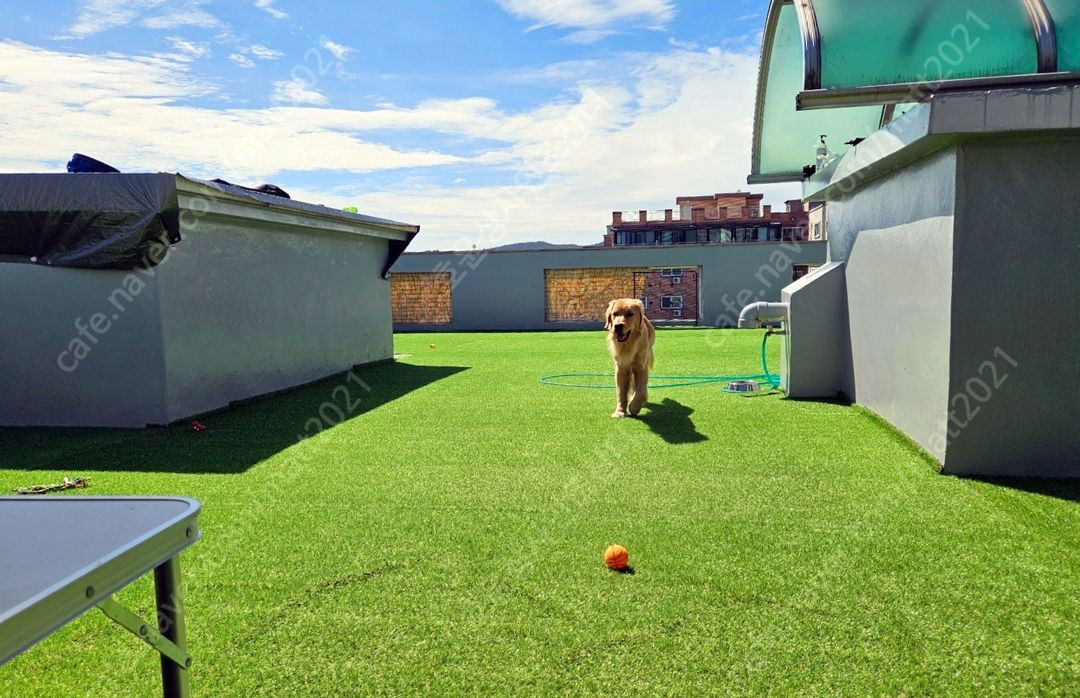 테라스인조잔디 조경용인조잔디 프리미엄 인조잔디 이미지