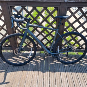 트렉 도마니 al2 4세대 (2025) 이미지