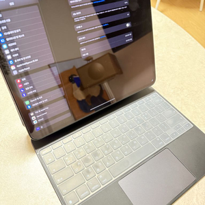 아이패드 프로13 M3 256 wifi 이미지