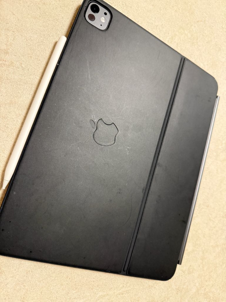 아이패드 프로13 M3 256 wifi 이미지